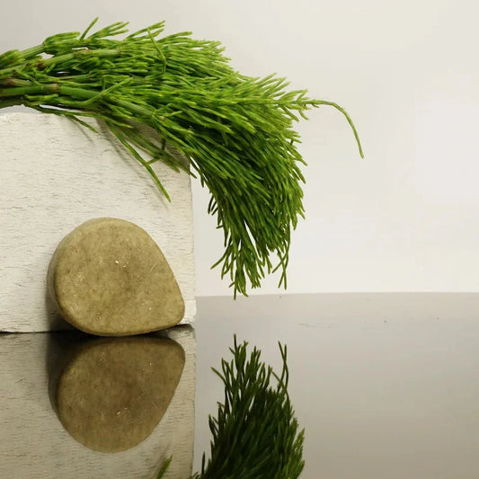 Shampoo Bar Balance & Deep Cleanse